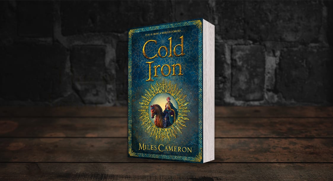 Cold Iron by D.L. McDermott